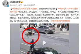 野猪在杭州闹市区横冲直撞，民警紧急出动“抓捕”图片