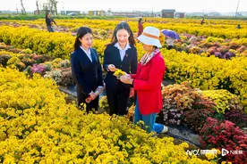 力撑“百千万工程”，佛山中行如何与时代同行？图片