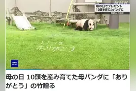 “谢谢你，‘良浜’”！旅日大熊猫收到特别礼物图片