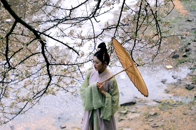 雨后樱花落满湖，湖南省植物园绝美“花瓣湖”景观本周限定呈现