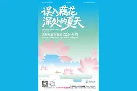 花火映泉·音律漫城！在清照泉城·明水古城共赴藕花深处的夏天图片