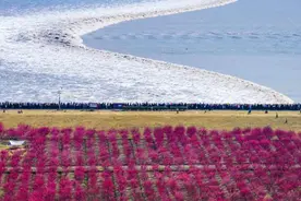 浙江宣传丨一塘捍海图片