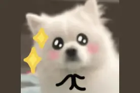 女友意外死亡，杭州小伙忙前忙后！结局反转图片