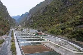 万千气象看四川｜甲米村产业上新，高原冷水鱼从这里“游”上餐桌图片