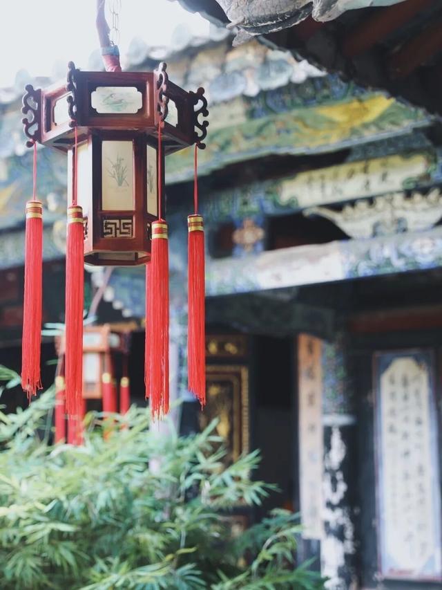 时速仅25公里！观光米轨小火车火了！