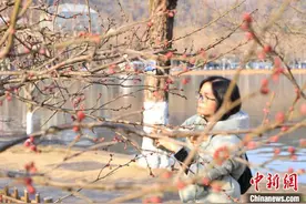 浙江天气将进入“渐冻模式” 下周将迎今年初雪图片