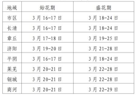 花海绽放！踏着春风的脚步来泉城赏花啦