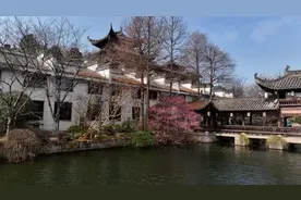 良渚文化大走廊赏梅正当时，错过再等一年图片