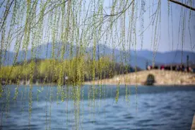 确认了！杭州近30个热门景区最新优惠来了图片