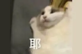 春假来啦，连休5天！还有更长的......图片