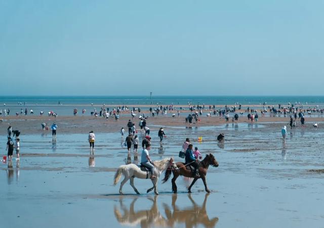 这个五一，去刘家湾赶一场“潮”——万亩滩涂已备好，只差一个挽起裤脚的你