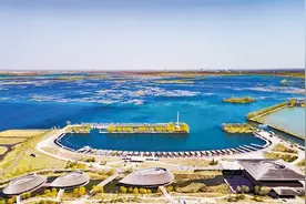 “黑科技”护卫，白洋淀水清岸绿映碧波图片