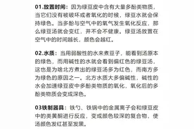 迷惑！明明是绿豆，煮出来的汤为啥是红色的？解暑是人人皆宜吗？图片
