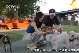 萌宠有了专属运动会 上海这样打造“宠物友好空间”→图片
