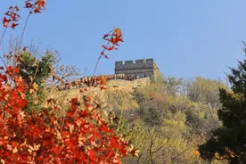 北京八达岭长城：层林尽染醉游人图片