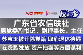 广东一原正厅级干部严重违纪违法被开除党籍图片