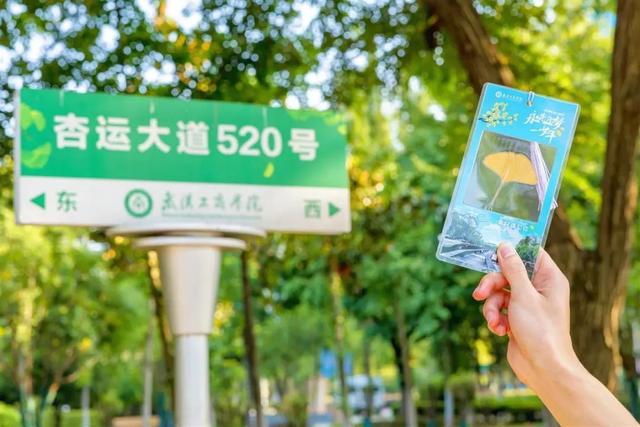 滴胶花标本 2026年鲜花滴胶标本教程