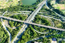 打通“大动脉”畅通“微循环”，深圳坪山铺实民生幸福路图片