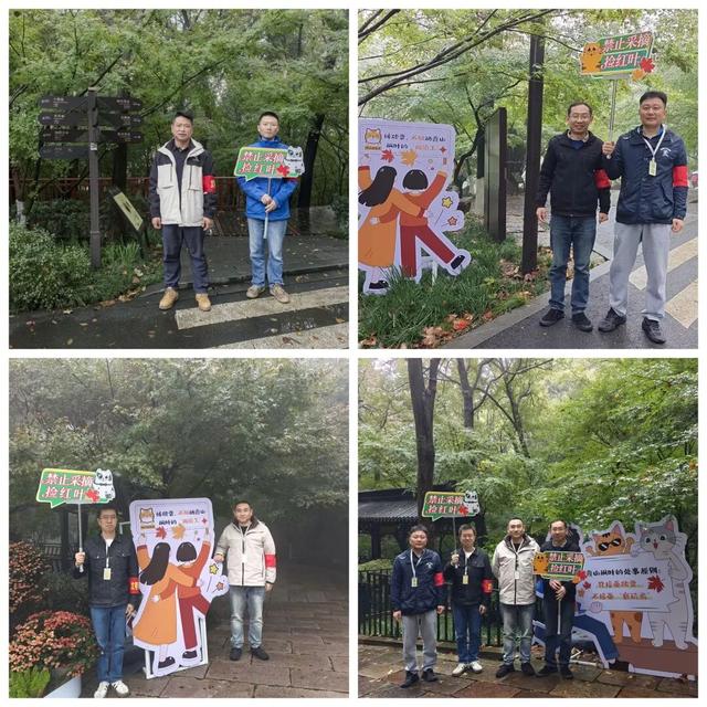 “党建红”点亮“枫”景丨栖霞山 “红枫护卫队” 上线！