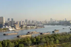 今早黄浦江面船舶密集，还有轮渡延误？上海轮渡回应图片