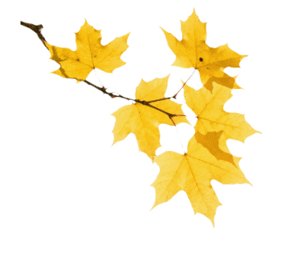 “南宁打卡地图”升级！看完演唱会，再去这5个城市地标续写绿城记忆~