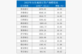2023山东城商行盘点｜13家银行净利润超170亿！资产质量向好 数字化转型“走红”图片