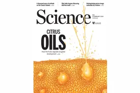 剥橘子皮时溅出的那股“水儿”是啥？这项研究跟它有关图片