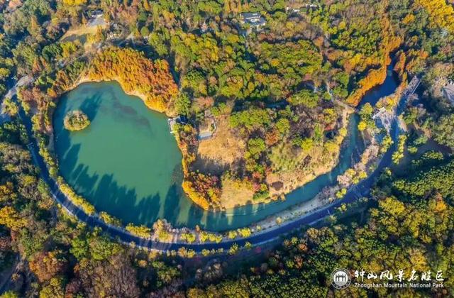 没来过紫金山，就不算看过南京的秋