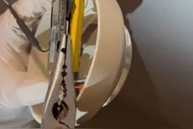 被认定为“刺头”，针孔摄像监视业主？5人被拘→图片