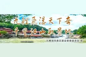 补贴到账了！汽车以旧换新看这里→图片