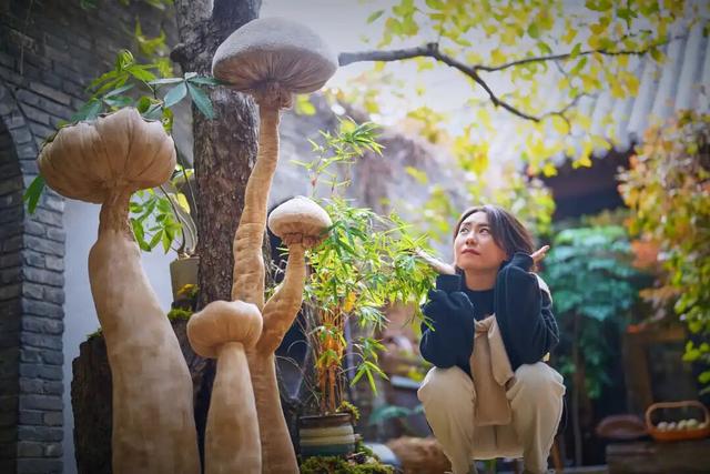 来东城这个胡同小院	，邂逅蘑菇精灵的童话秘境——