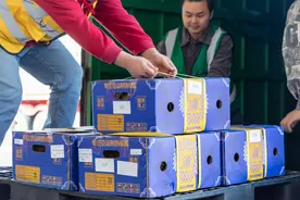 西南首单！泰国进口榴莲更鲜更便宜了图片