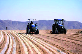春到田间气象新 ——永靖县春耕生产见闻图片
