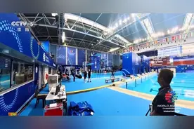 正式开赛 中国跳水梦之队冲击世锦赛首金图片