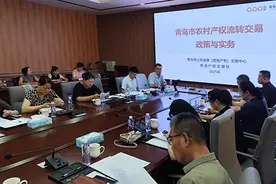 青岛市即墨区蓝村街道举办农村产权流转交易专题培训图片