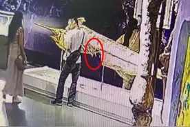 成都一博物馆古枪鱼标本被游客掰断“肋骨”，回应：修复成本大，已报警图片