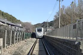 蓝天+白云+春花！八达岭长城上游人如织图片