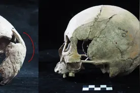 5000多年前山东人就睡平头！跨越千年，山东大学教授赵永生通过人骨研究揭示中原与山东地区人群交流图片