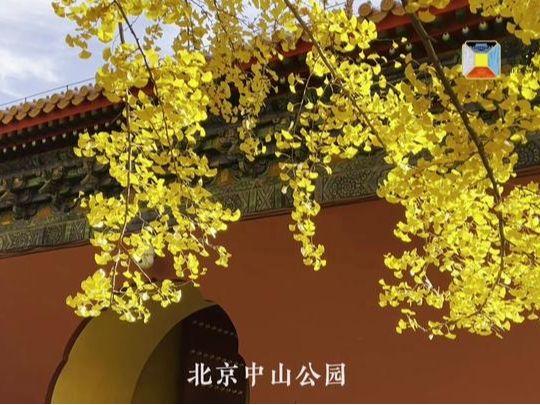 北京号最精彩 | 22.6公顷！海淀再添一座休闲公园