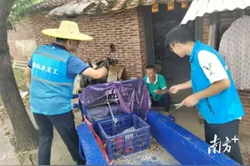 防控登革热，三水大塘水义工在行动图片