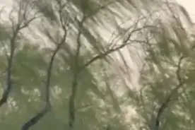 北京超级大风！中小学相关培训机构停止户外活动图片