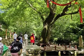 陕西命名14 个县（市、区）为陕西省全域旅游示范区图片
