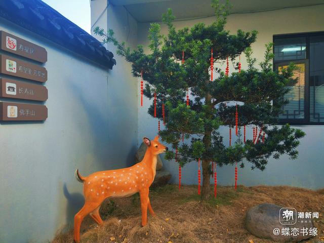 晚潮｜山水间的长寿密码