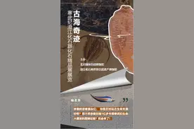 特大喜讯：澄江化石地世界自然遗产古生物化石在国家自然博物馆展出图片