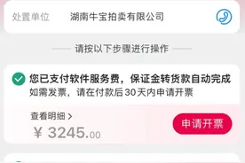 正规拍卖平台上展示的150多辆涉案车都是假的？警方回应图片