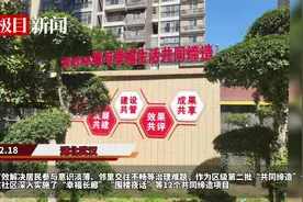 武汉青山武东社区：凝“馨”聚力，共建幸福“馨”居图片