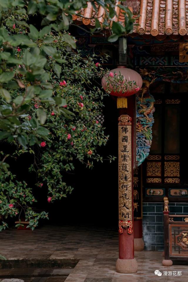 邂逅“梅”好时光！昆明超详细赏梅攻略来了