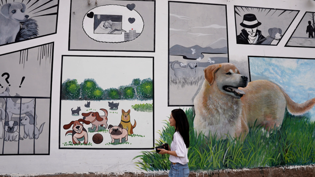 遇见西充，更遇见你！《慕・遇西充》公众号正式上线