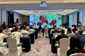 全川份额超六成！四川汉源甜樱桃“长”成大产业，实现年产值超11亿元图片