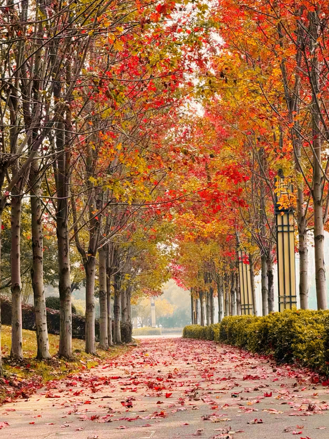 丹阳这里超出片，快来打卡~